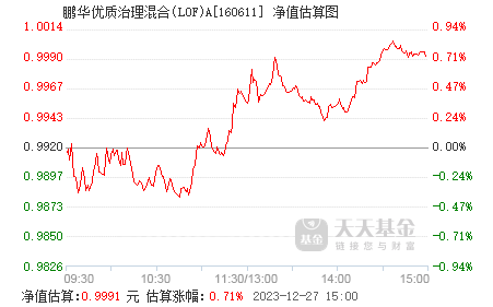 鹏华治理最新净值深度解读与未来前景展望