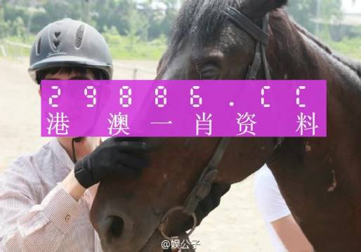 澳门最准一肖一码一码匠子生活，定量解答解释落实_smc94.48.50