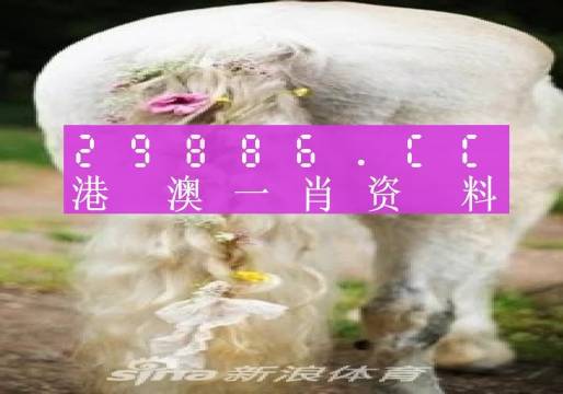 澳门2024精准一肖一码，前沿解答解释落实_x9493.32.68