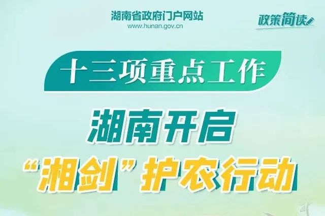 豹澥最新招聘启事，携手共创辉煌未来