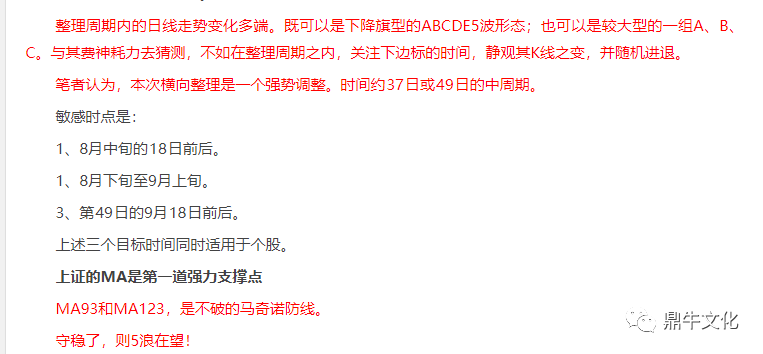 鲁兆最新预测，科技与社会趋势的未来探索