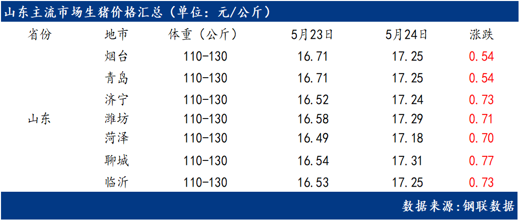 临沂今日生猪最新价格动态与行情分析