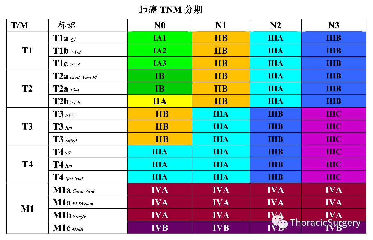 肺癌最新TNM分期概述