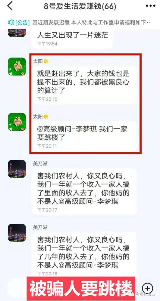 云数贸最新动态，引领数字贸易前沿，探索行业新趋势