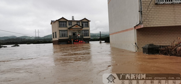 全州暴雨最新动态，全方位应对与关注