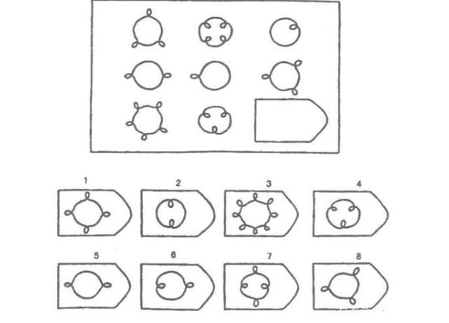 最新智商测试题，探索智力的前沿领域