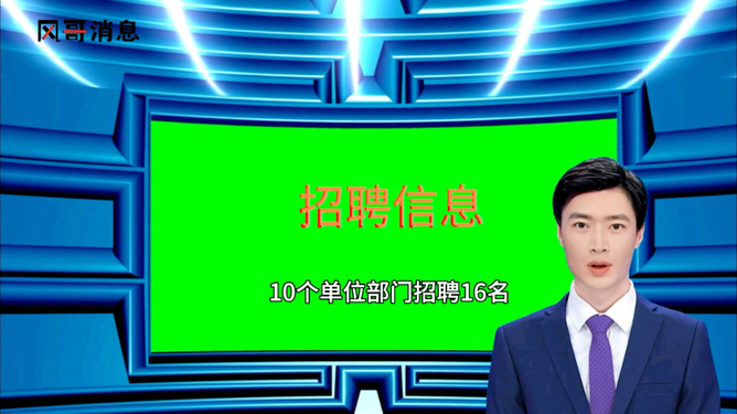 陇南最新招聘信息及其社会影响分析